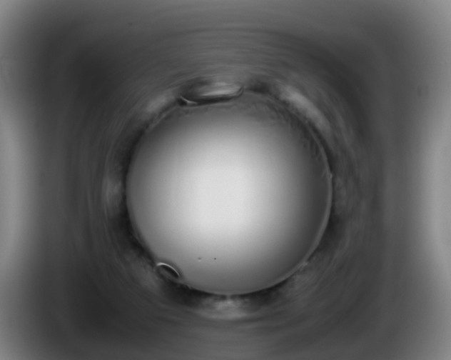 X0000086110113200703301245