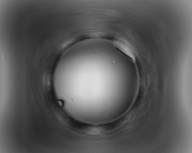 X0000086110115200703301245