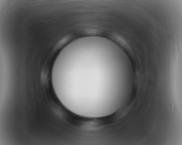 X0000086110116200703301245