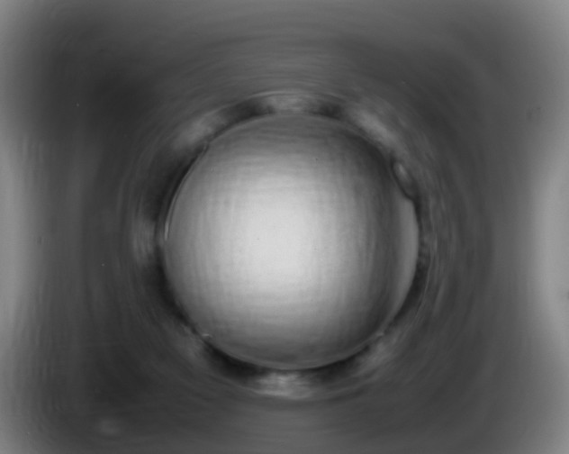 X0000086110117200703301245