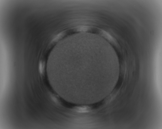 X0000086110118200703301245