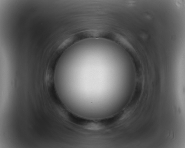 X0000086110119200703301245