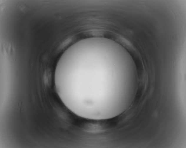 X0000086110120200703301245