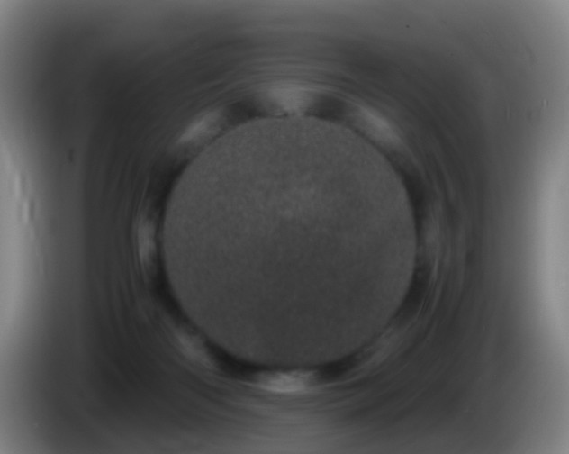 X0000086110122200703301245