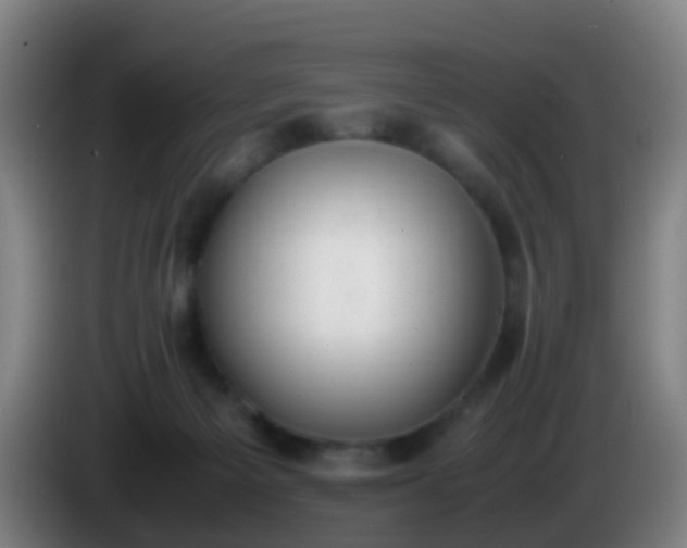 X0000086110125200703301245