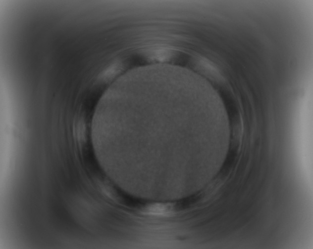 X0000086110126200703301245