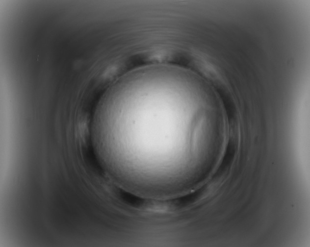 X0000086110127200703301245