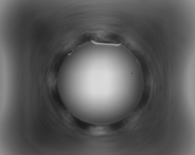 X0000086110129200703301245