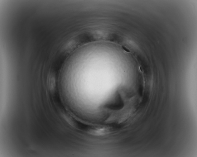 X0000086110130200703301245