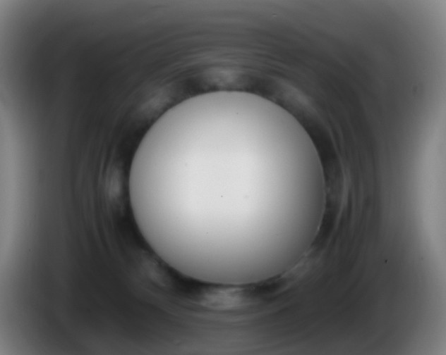 X0000086110132200703301245