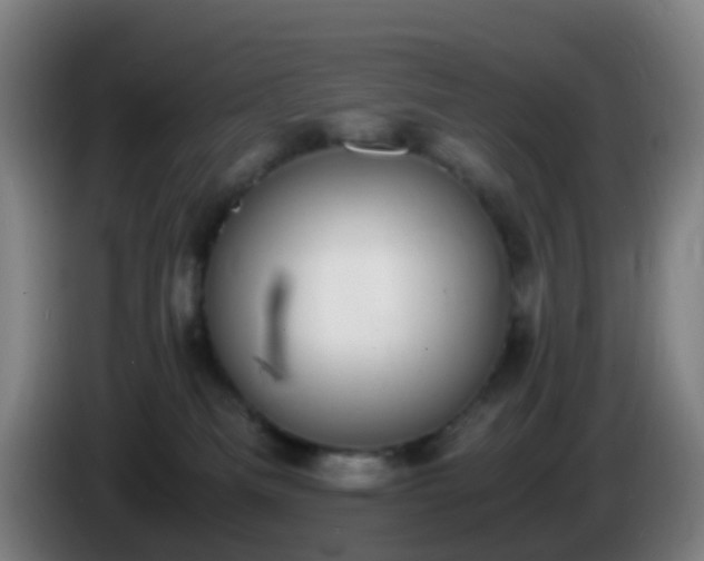 X0000086110133200703301245