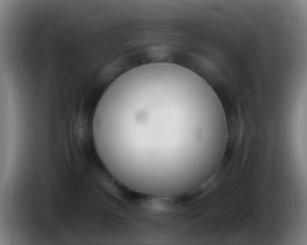 X0000086110136200703301245