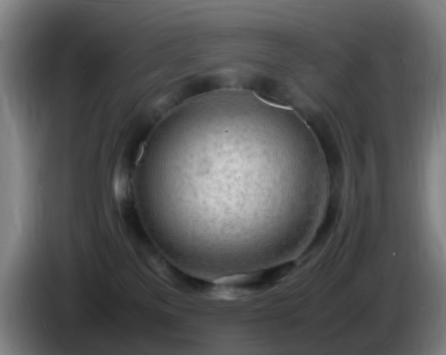 X0000086110137200703301245