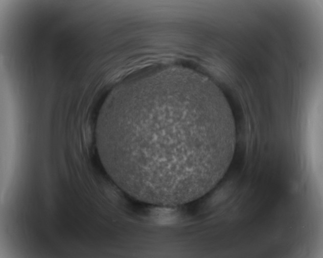 X0000086110139200703301245