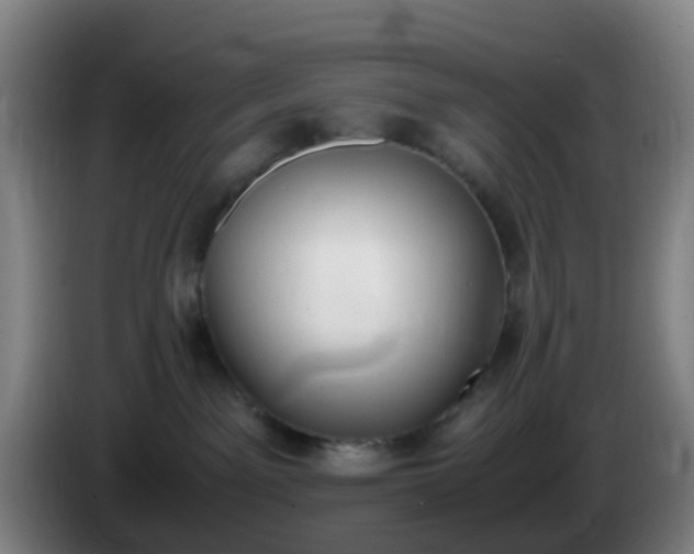 X0000086110141200703301245