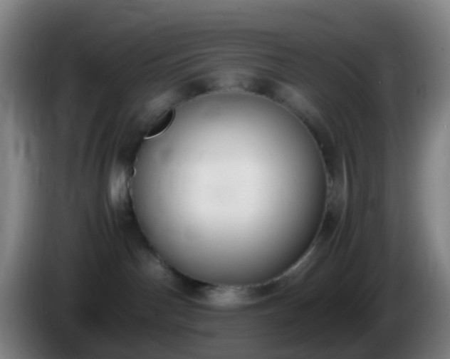 X0000086110142200703301245