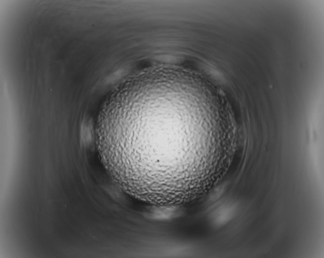 X0000086110143200703301245