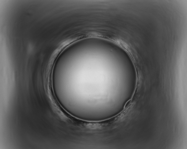 X0000086110145200703301244