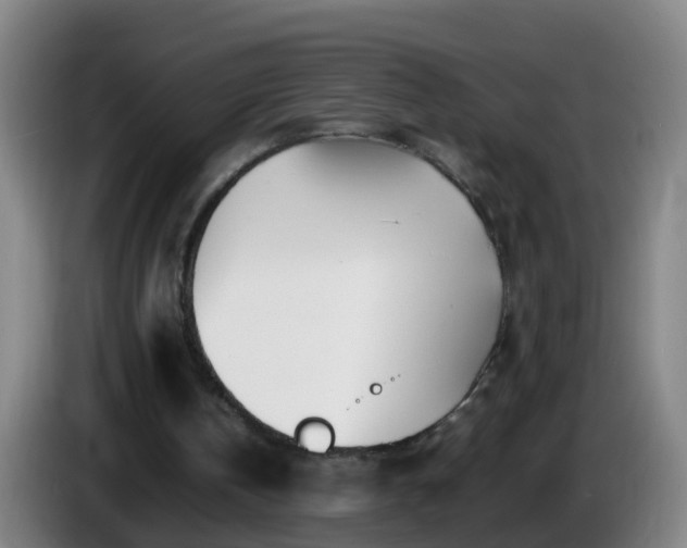 X0000086110146200703301244