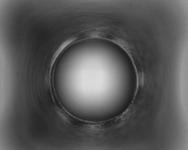 X0000086110147200703301244