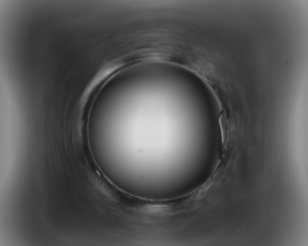 X0000086110150200703301244