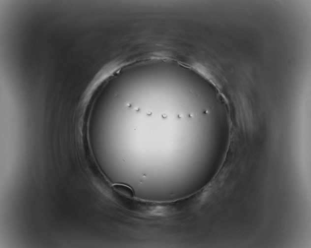 X0000086110151200703301244