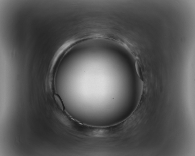 X0000086110152200703301244