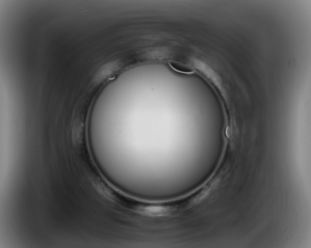 X0000086110153200703301244