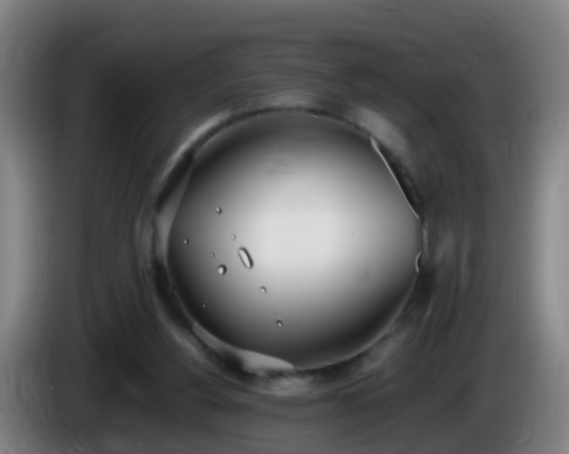 X0000086110156200703301244