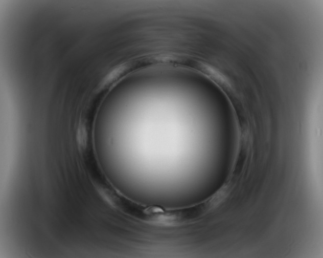 X0000086110158200703301244