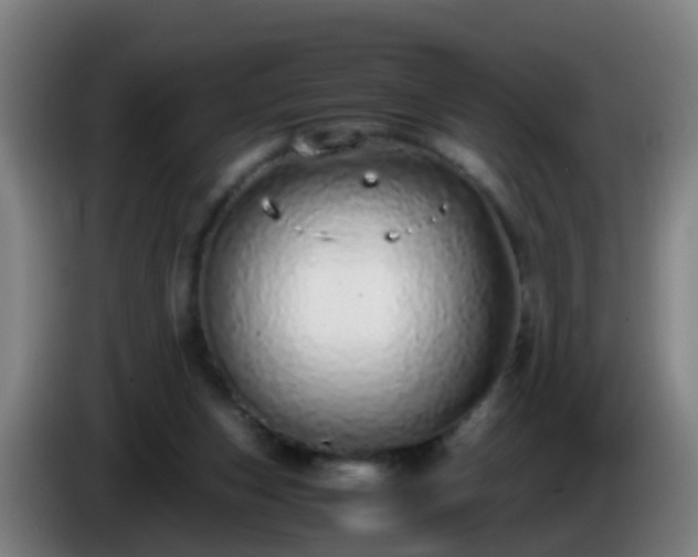 X0000086110159200703301244