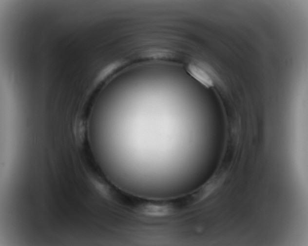 X0000086110160200703301244