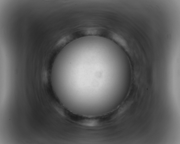 X0000086110161200703301244