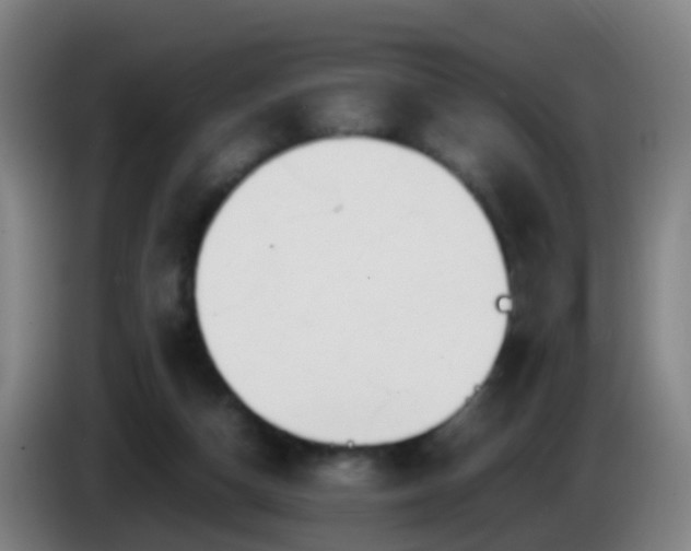 X0000086110162200703301244