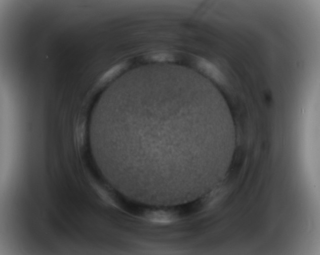 X0000086110163200703301245