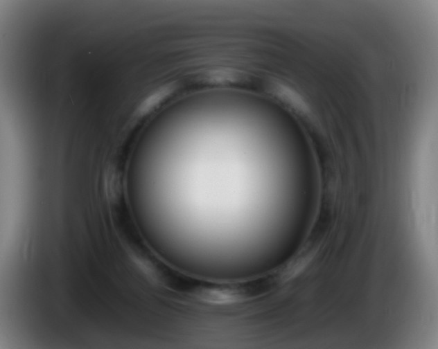 X0000086110164200703301245