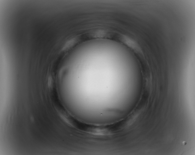 X0000086110165200703301245