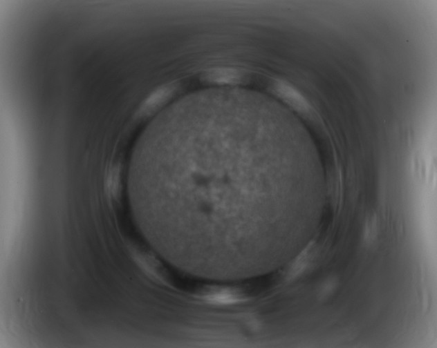 X0000086110167200703301245