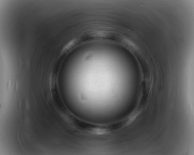 X0000086110168200703301245