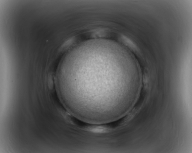 X0000086110169200703301245