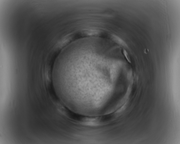 X0000086110170200703301245