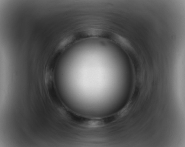 X0000086110172200703301245