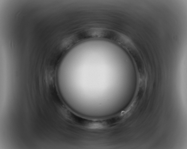 X0000086110175200703301245