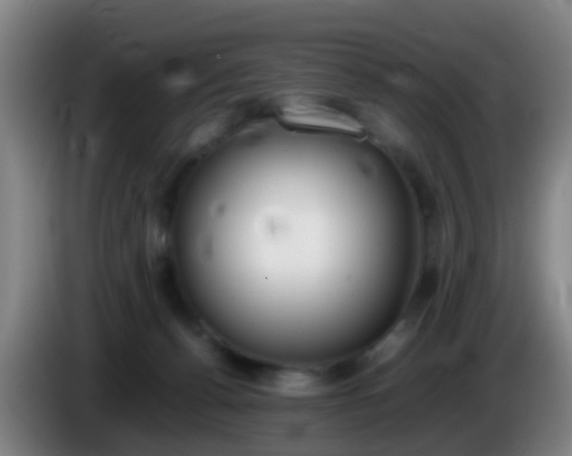 X0000086110176200703301245