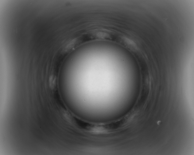 X0000086110177200703301245