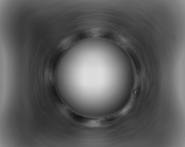 X0000086110178200703301245