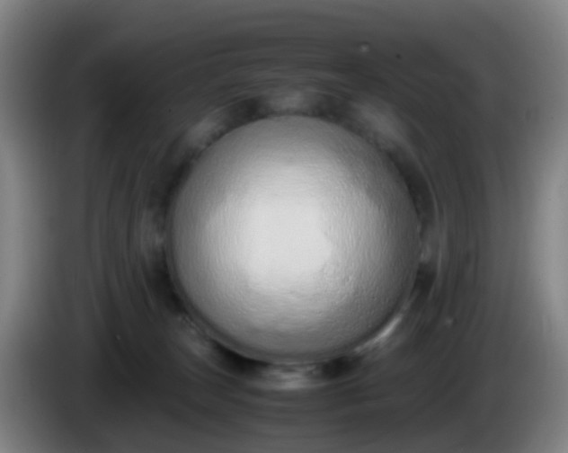 X0000086110179200703301245