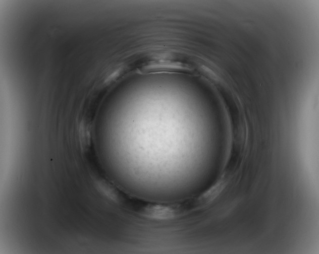 X0000086110180200703301245