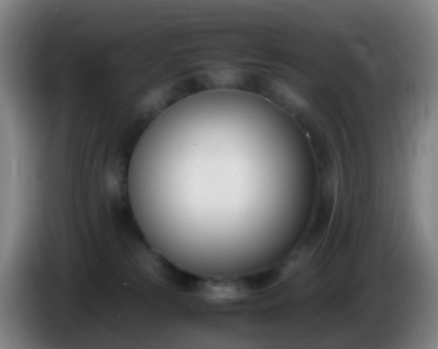 X0000086110181200703301245