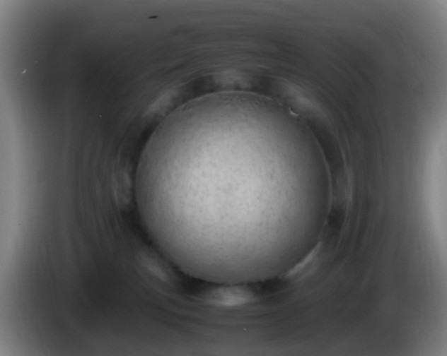 X0000086110183200703301245